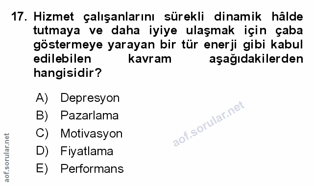 Soru 17