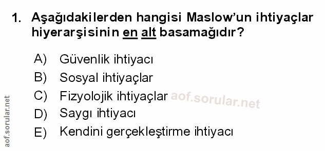 Soru 1
