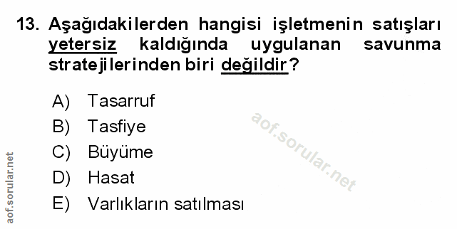 Soru 13