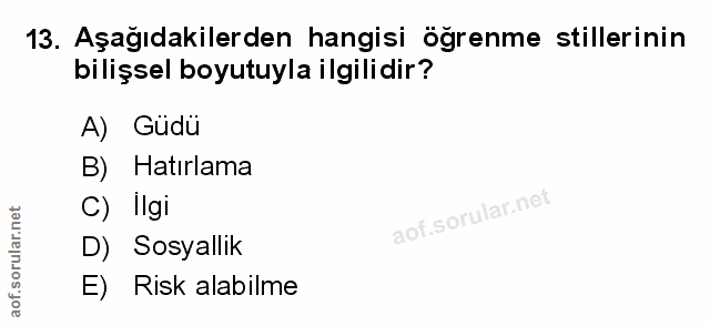 Soru 13