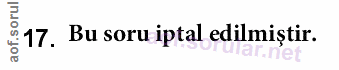 Soru 17
