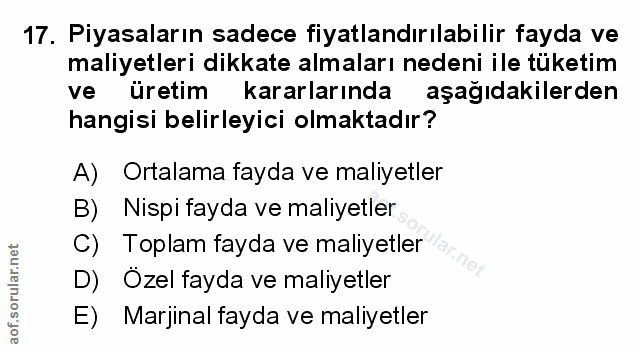 Soru 17