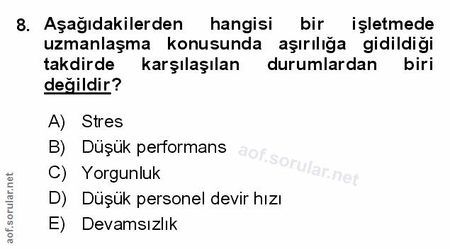 Soru 8