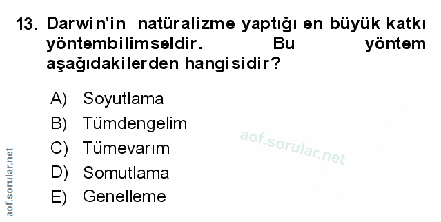 Soru 13