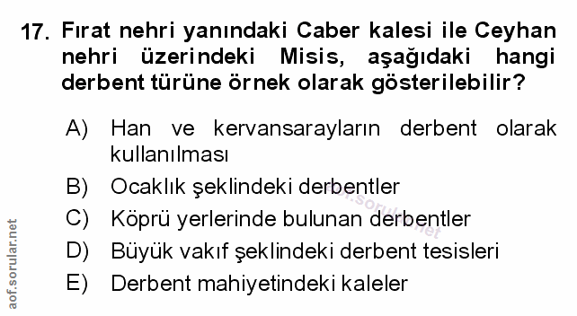 Soru 17