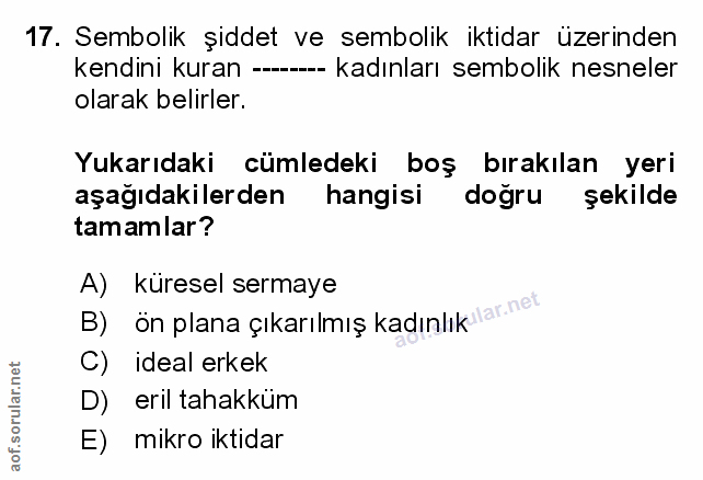 Soru 17