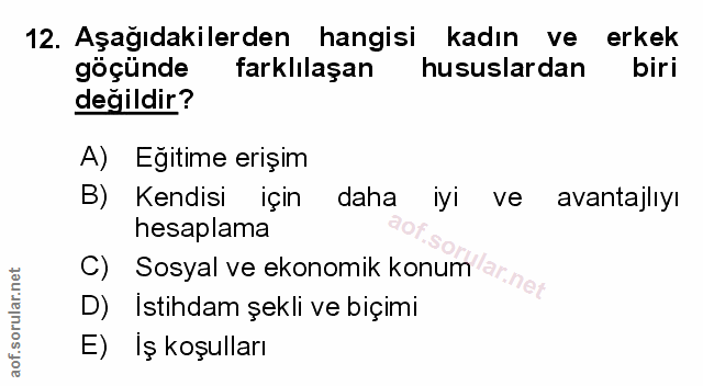 Soru 12