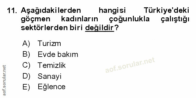 Soru 11