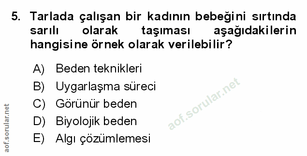 Soru 5