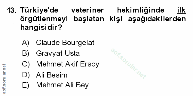 Soru 13