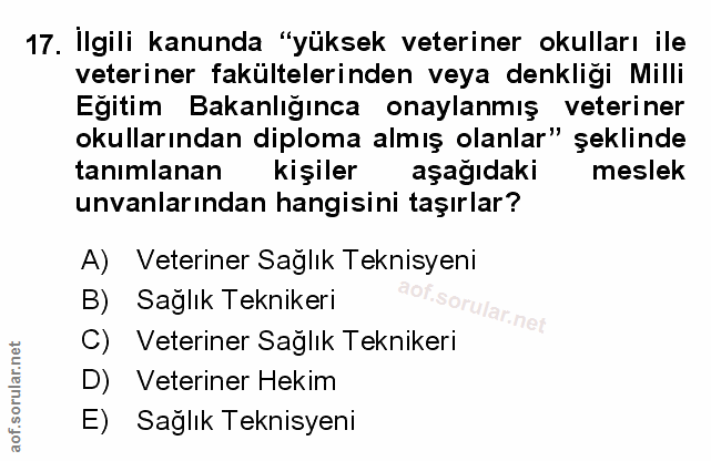 Soru 17