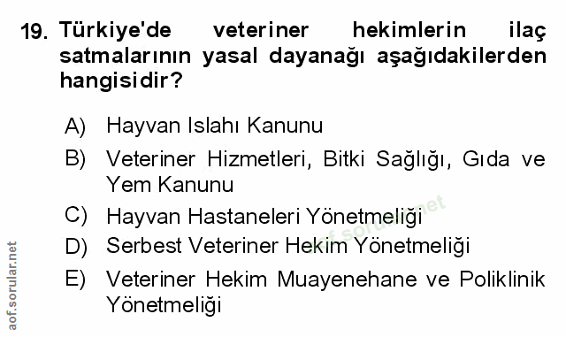 Soru 19