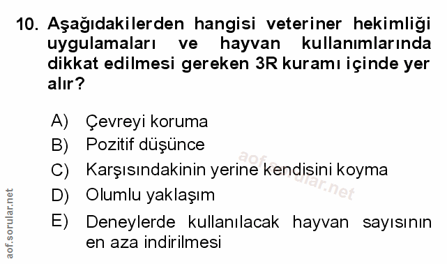 Soru 10