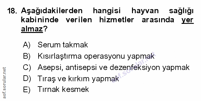Soru 18