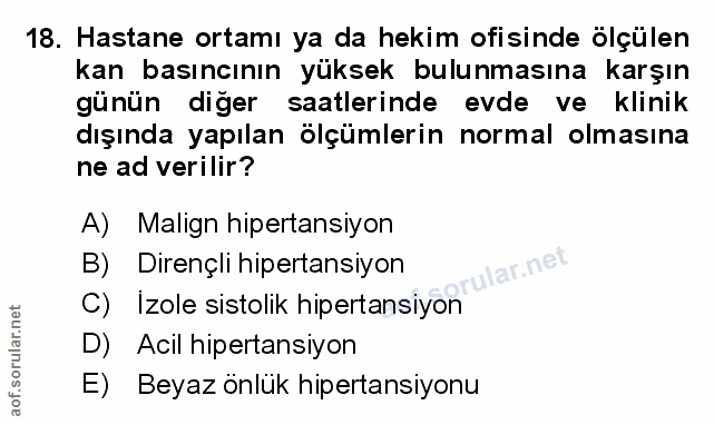 Soru 18