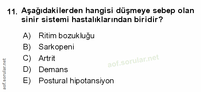 Soru 11