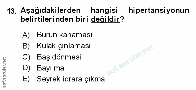 Soru 13