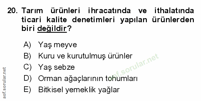 Soru 20