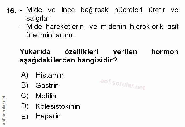 Soru 16
