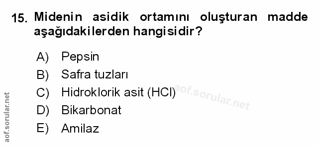 Soru 15