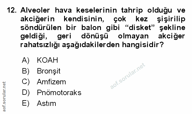 Soru 12