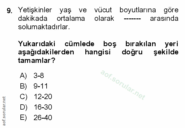 Soru 9
