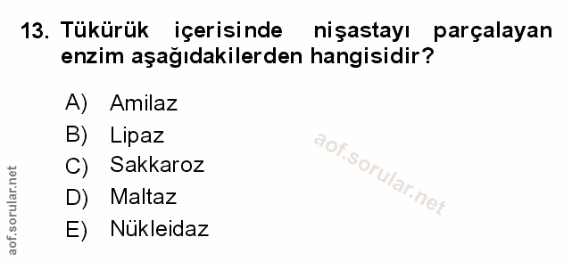 Soru 13