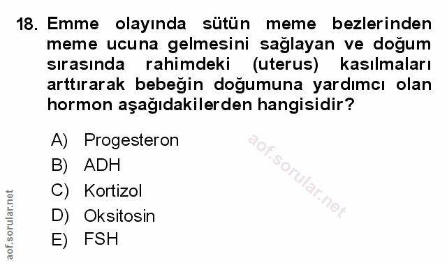 Soru 18