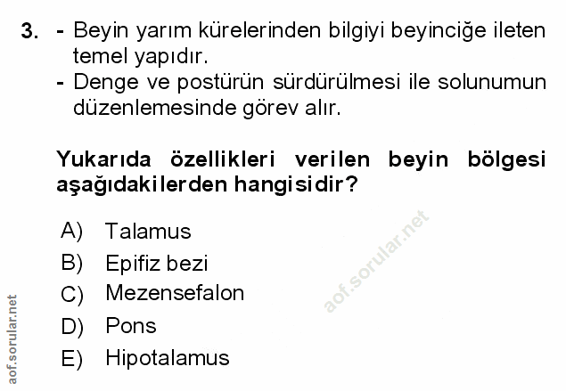 Soru 3
