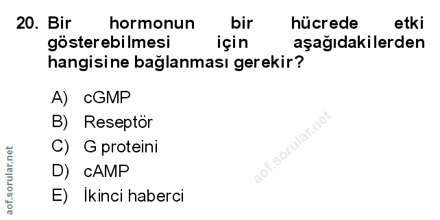 Soru 20