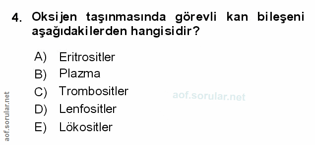 Soru 4