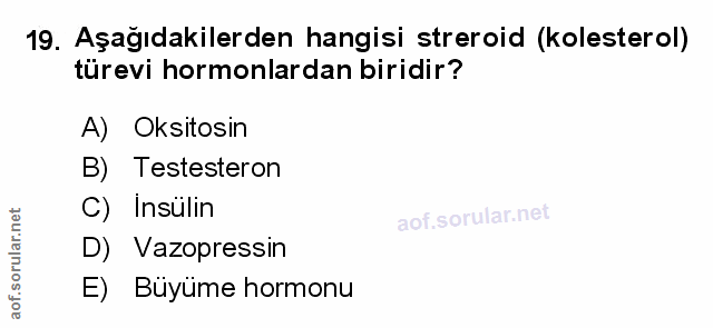 Soru 19