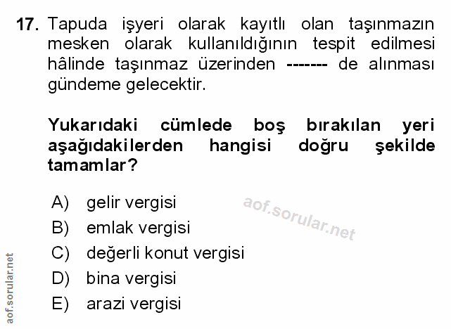 Soru 17
