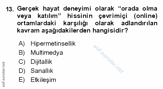 Soru 13