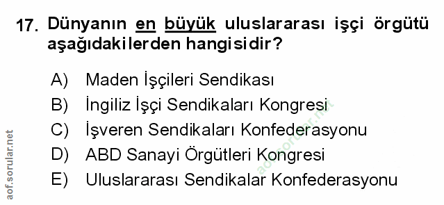 Soru 17