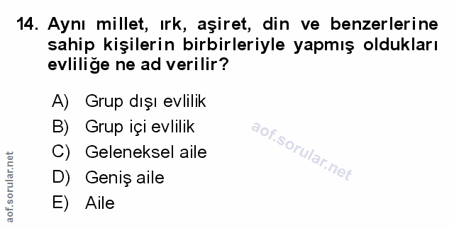 Soru 14