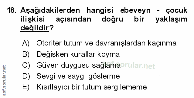 Soru 18