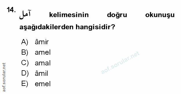 Soru 14
