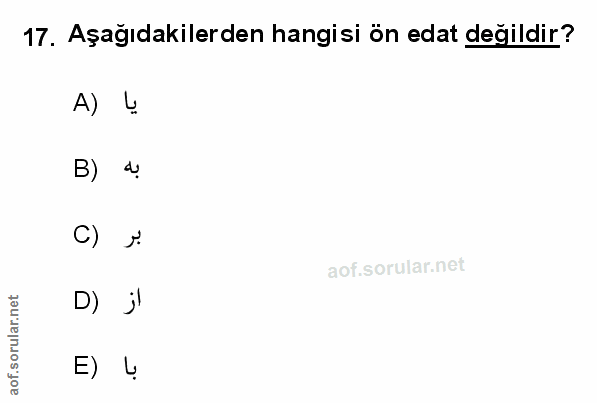 Soru 17