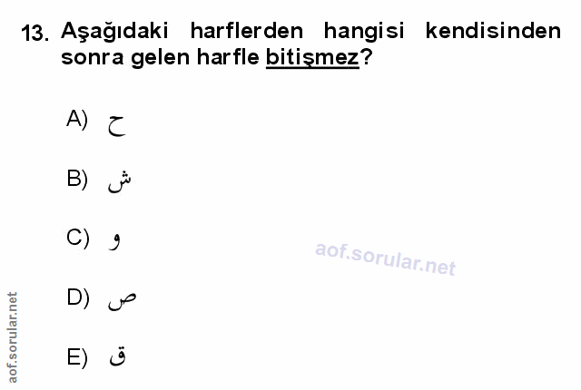 Soru 13