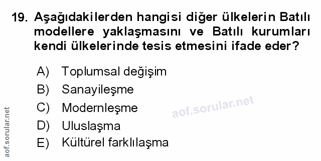 Soru 19