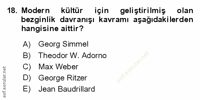 Soru 18