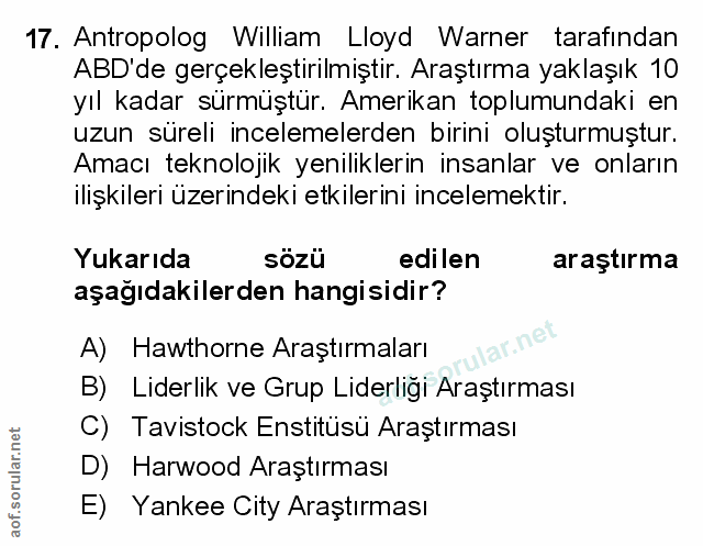 Soru 17