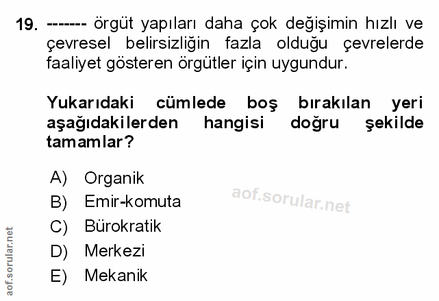 Soru 19