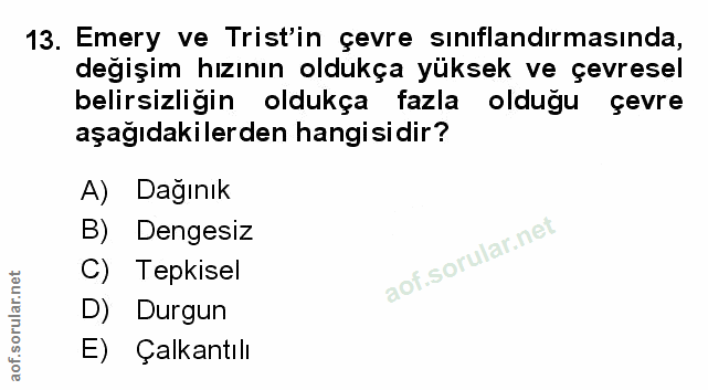 Soru 13