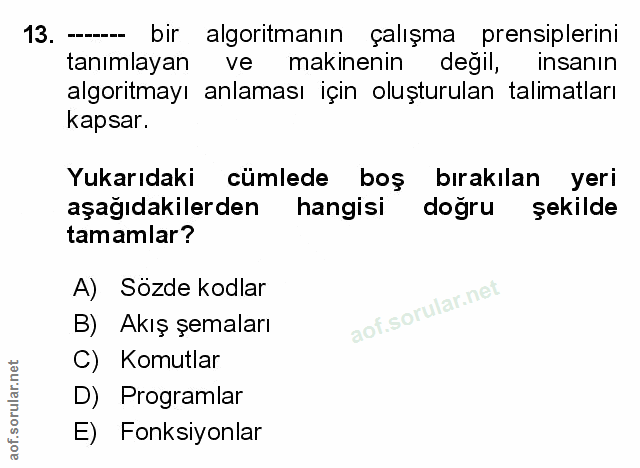 Soru 13