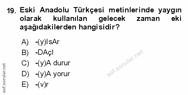 Soru 19