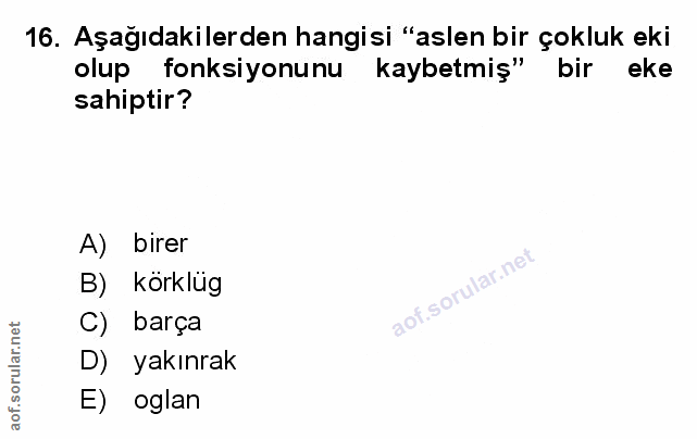 Soru 16