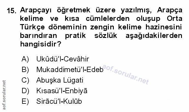 Soru 15