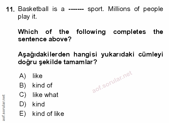 Soru 11